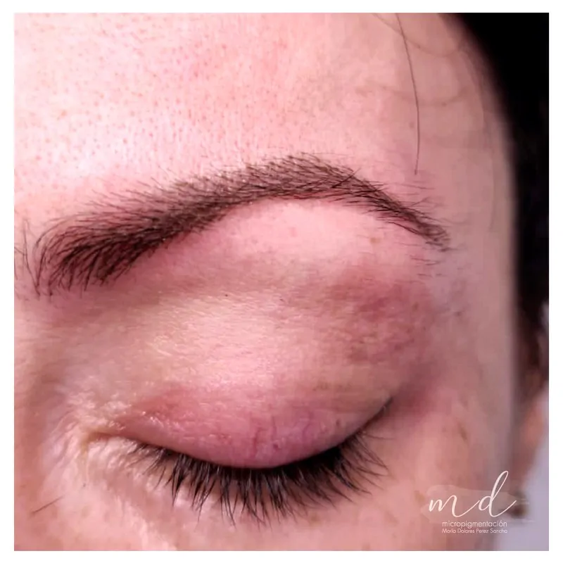 Micropigmentación cejas sombreado Barcelona