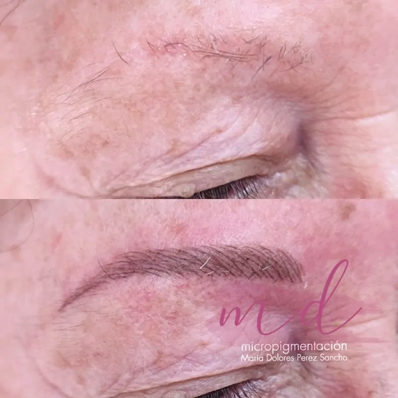 Cejas micropigmentadas técnica mixta Barcelona